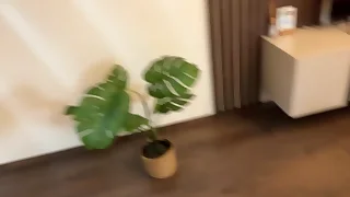 Pixie drinks Pee and gets Blond Shower Halloween printing